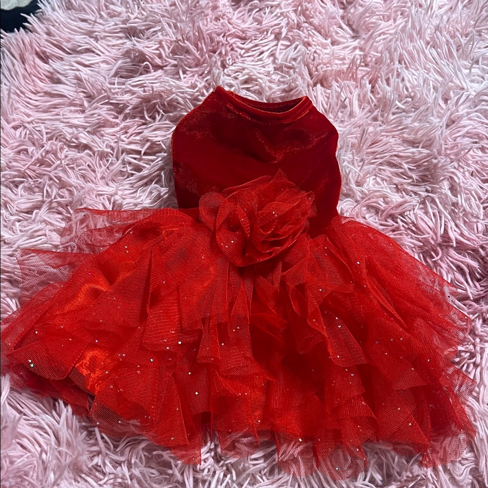 Red Tulle Dress with Rose Detail dog